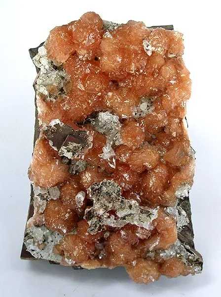 Olmiite image