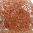 Olmiite - image 2