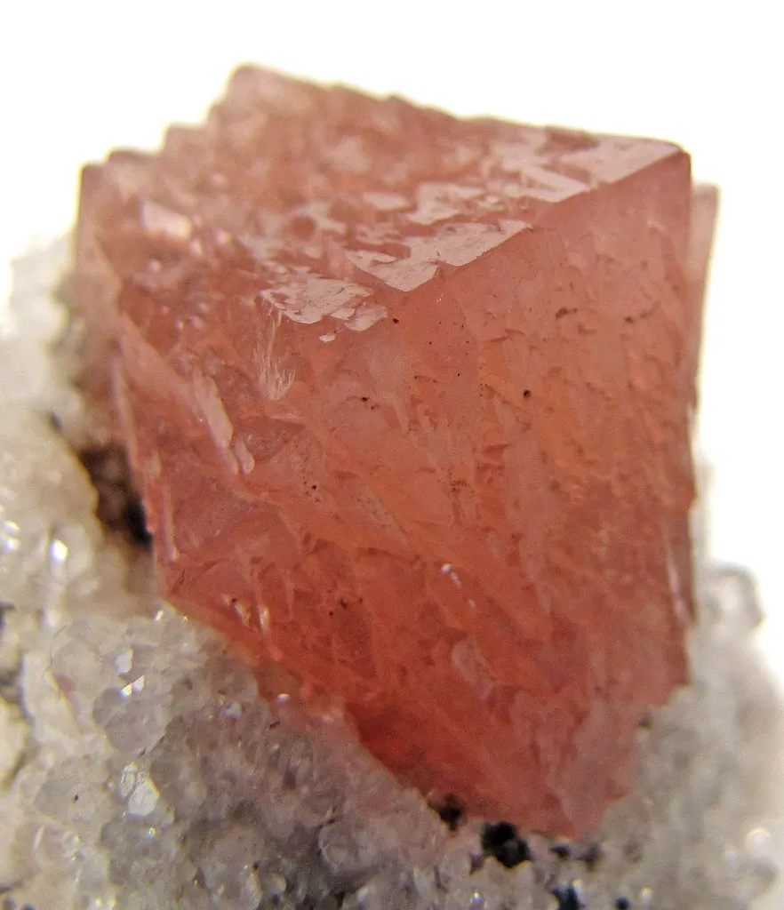 Olmiite - image 5