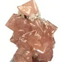 Olmiite - image 3
