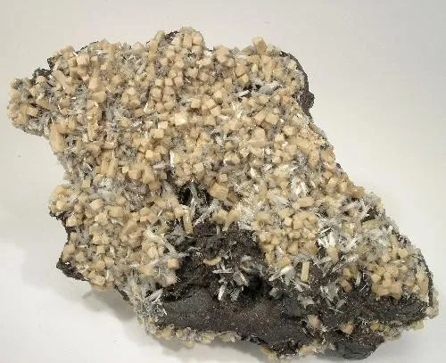 Olmiite, Bultfonteinite image