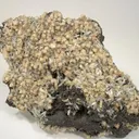 Olmiite, Bultfonteinite - image 1