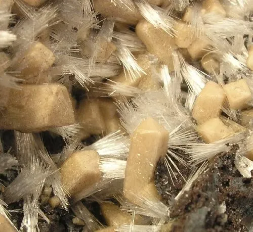 Olmiite, Bultfonteinite - image 2