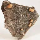 Olmiite, Calcite - image 2