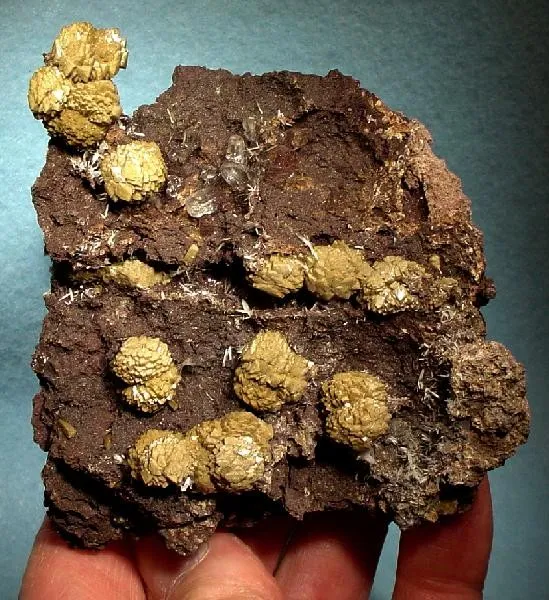 Olmiite, Celestine image