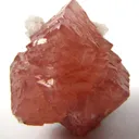 Olmiite - image 2