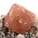 Olmiite - image 4