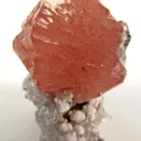 Olmiite - image 1