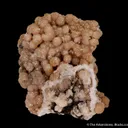 Olmiite on Calcite - image 4