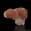 Olmiite on Hydroxyapophyllite - image 5