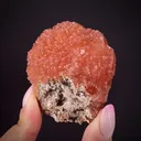 Olmiite on Xonotlite - image 2