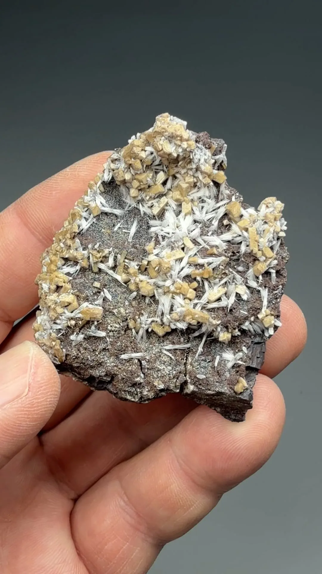 Olmiite with Bultfonteinite - image 2