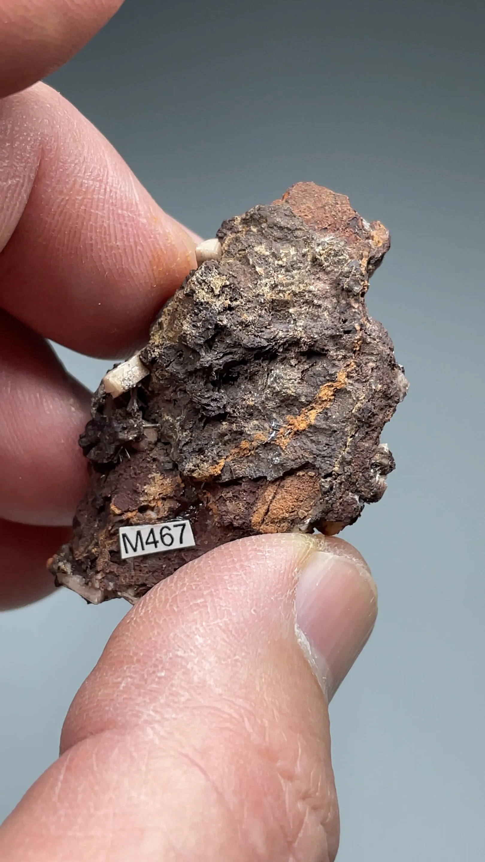 Olmiite with Bultfonteinite - image 2