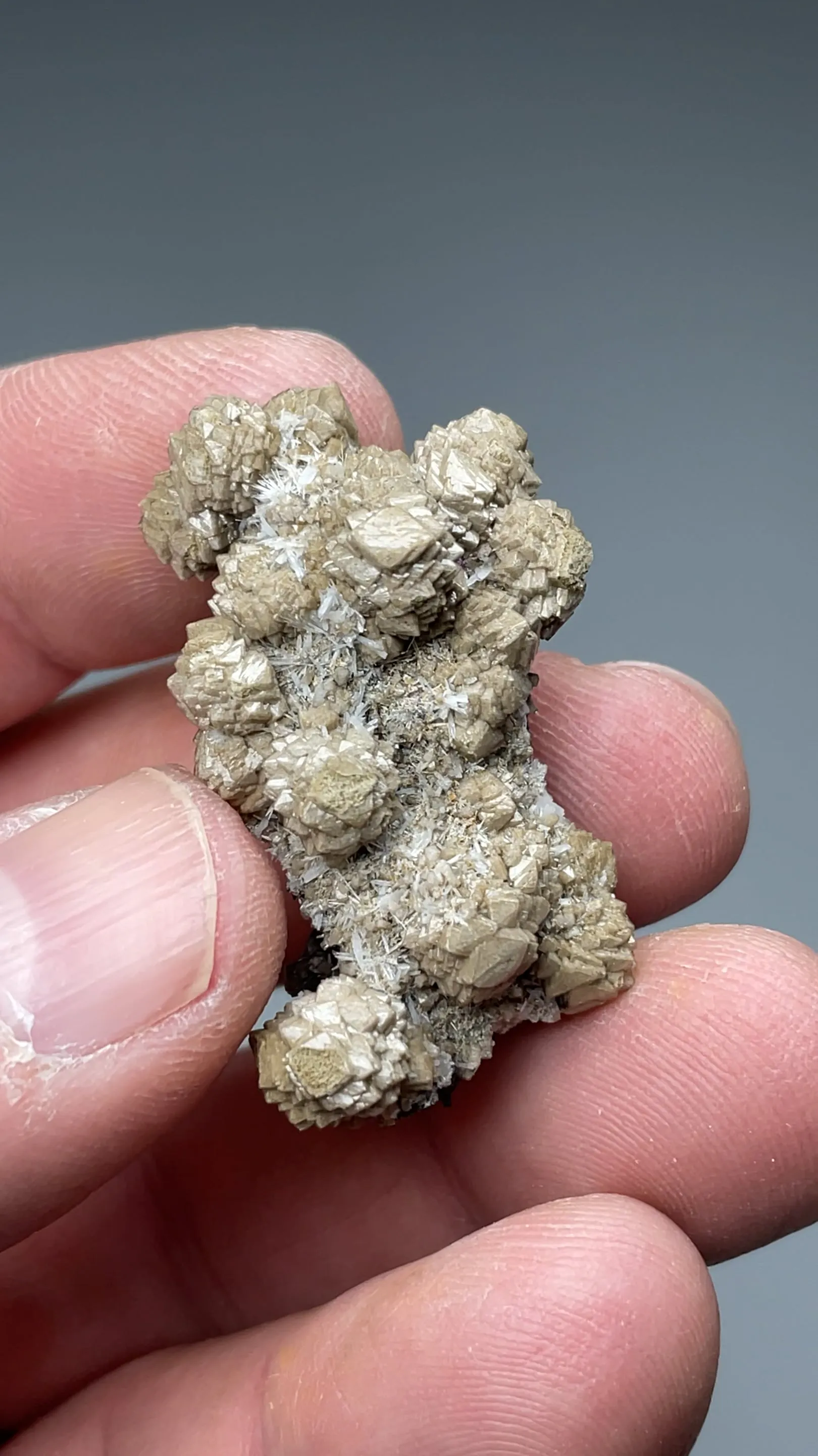 Olmiite with Bultfonteinite - image 2