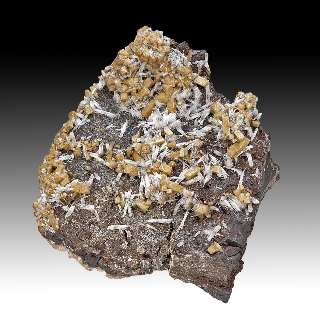 Olmiite with Bultfonteinite - image 1