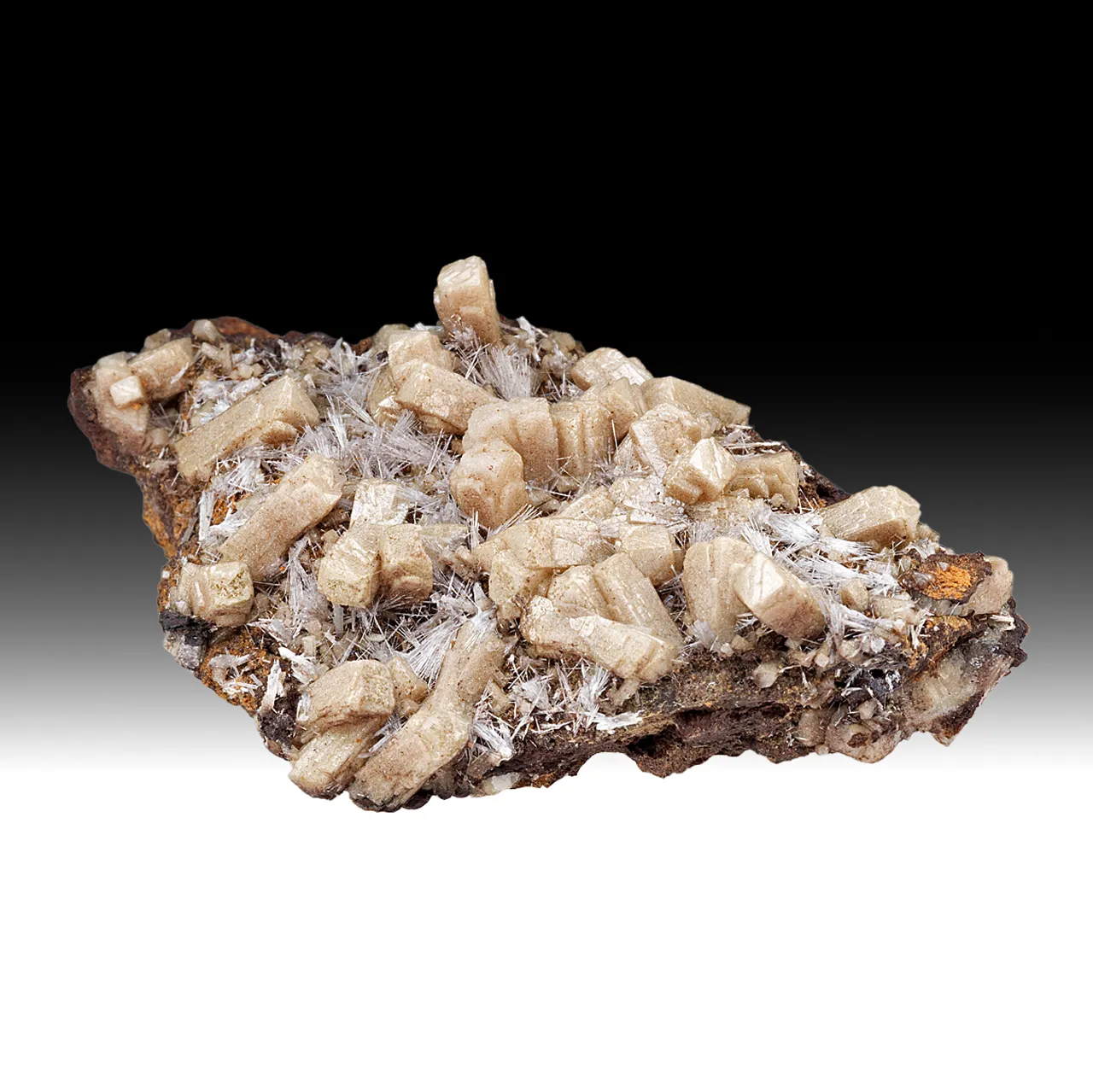 Olmiite with Bultfonteinite - image 1