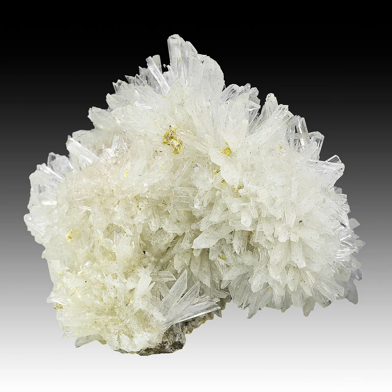 Olshanskyite - image 1