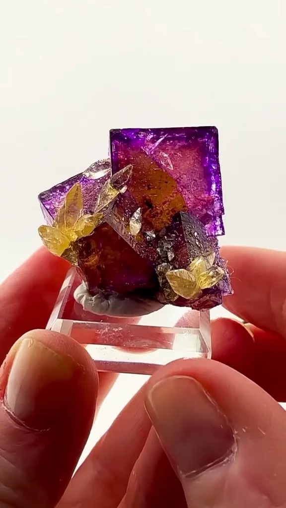 One of those Illinois fluorites that simply has everything image