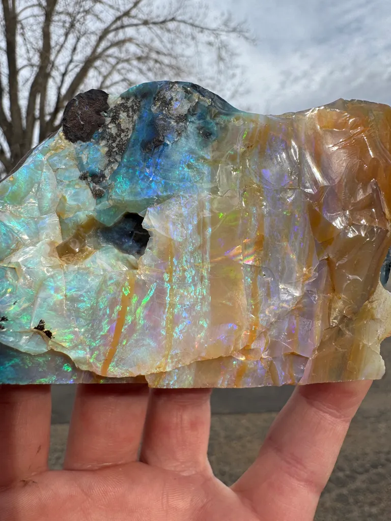 Opal - image 3