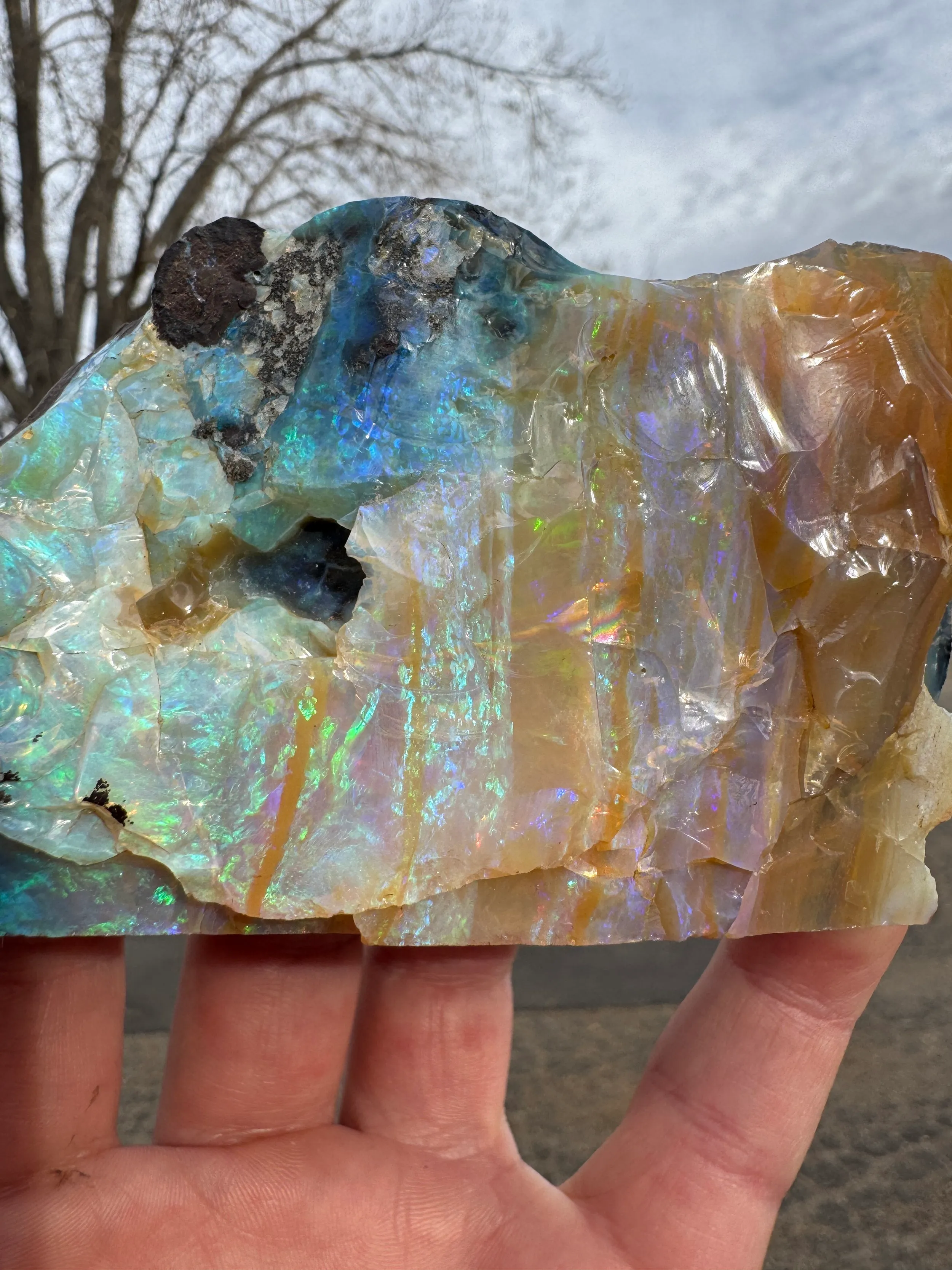 Opal - image 3
