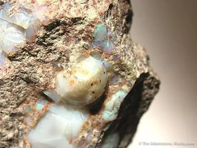 Opal - image 2