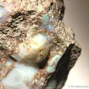 Opal - image 2