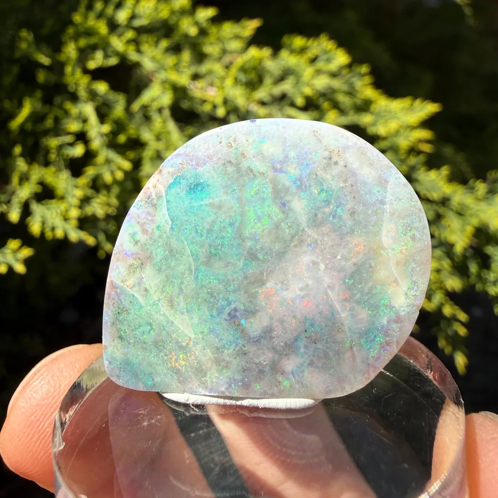 Opal - image 2