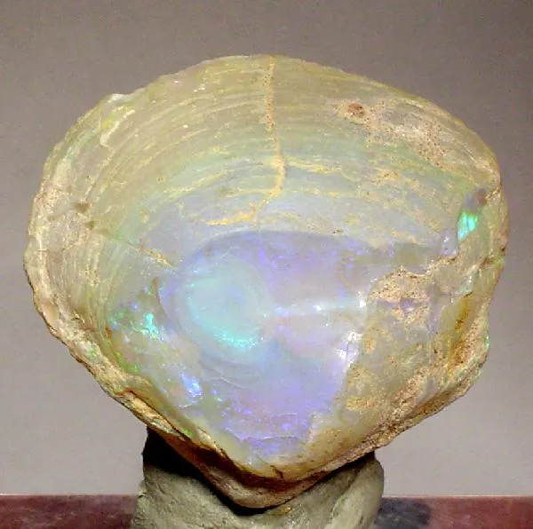Opal image