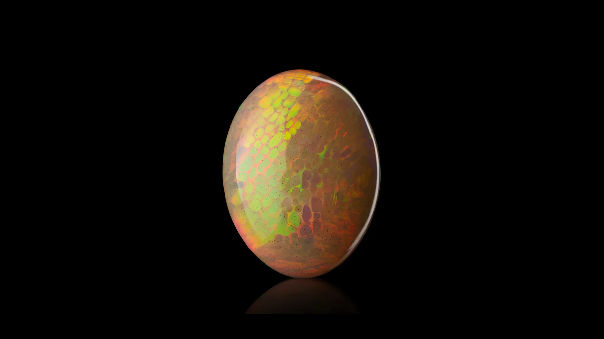 Opal - image 1
