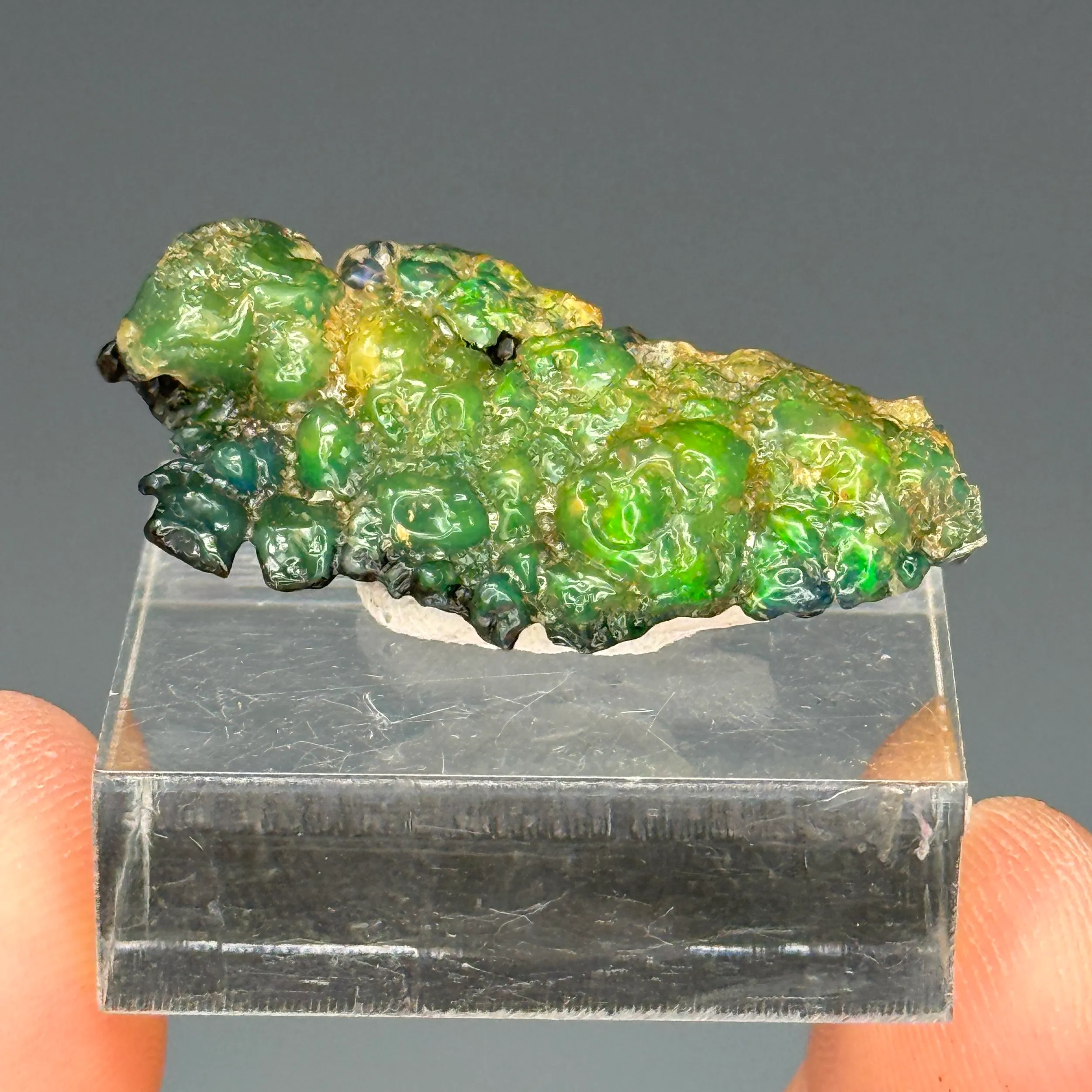 Opal - image 1