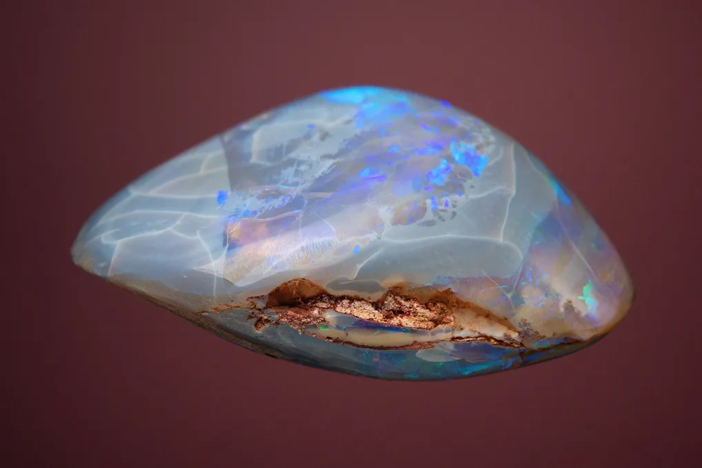 Opal after Clam - image 3
