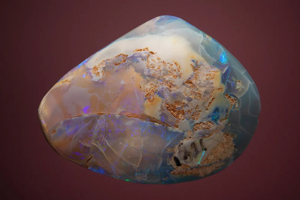 Opal after Clam - image 2