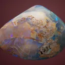 Opal after Clam - image 2