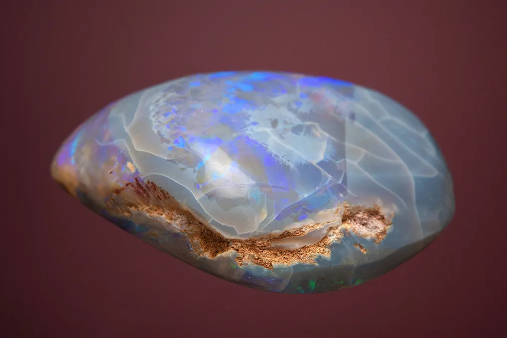 Opal after Clam - image 4