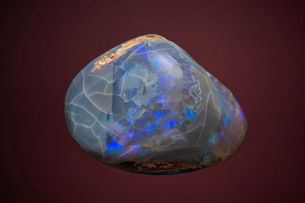 Opal after Clam image