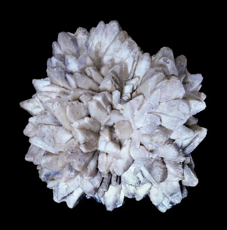 Opal after ikaite (Opal “pineapple”) - image 1