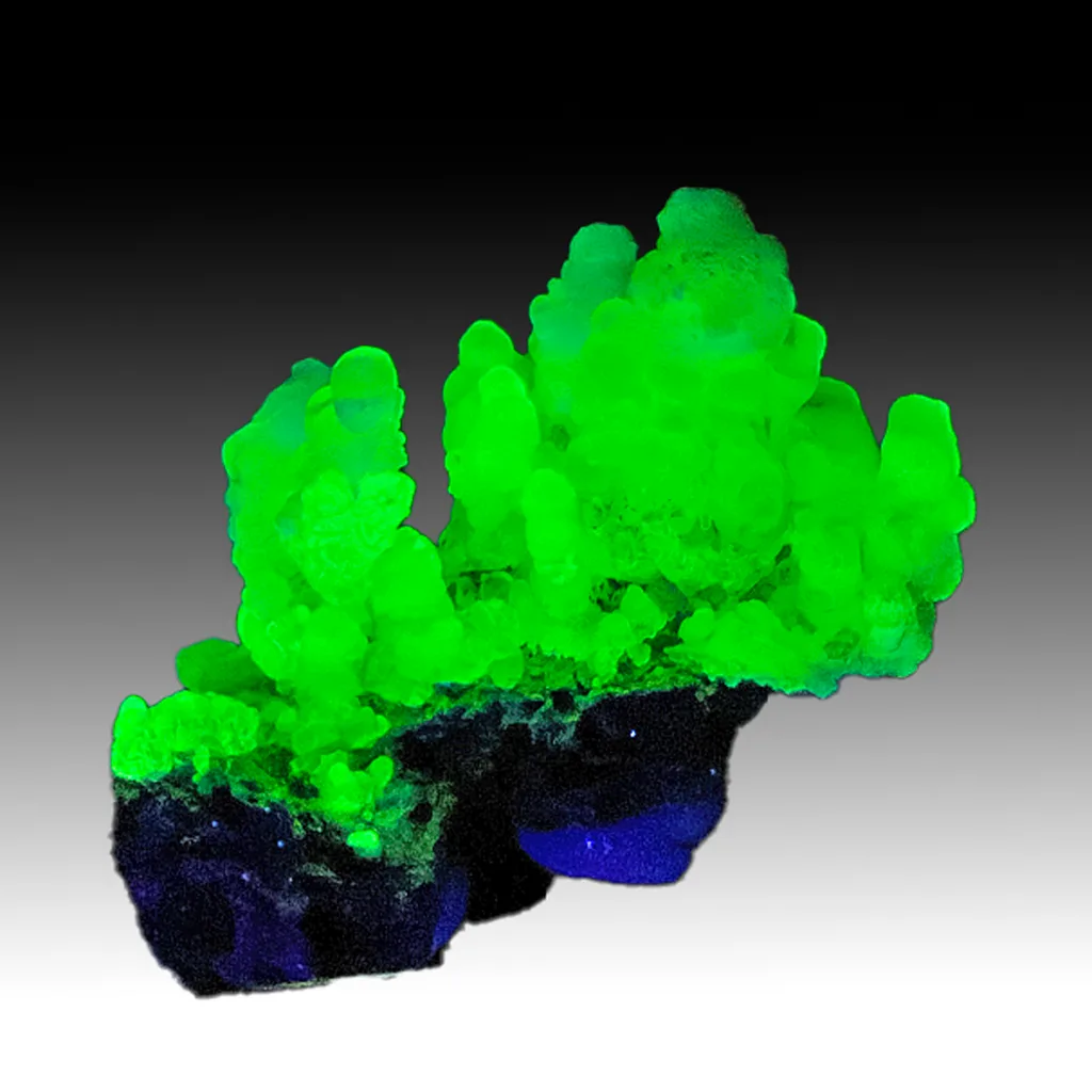 Opal-AN - image 1