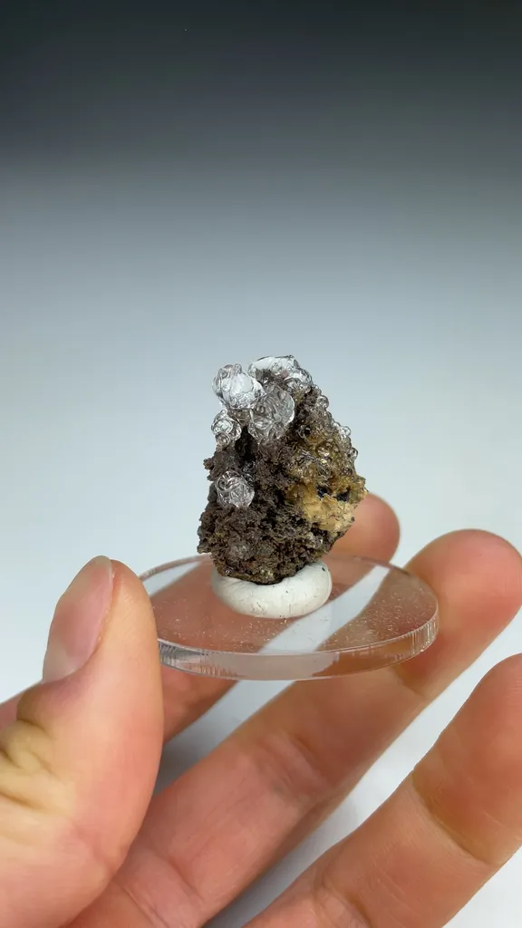 Opal-AN - image 3