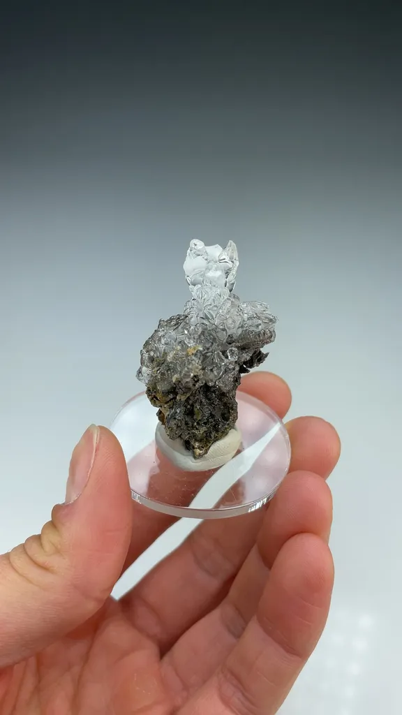 Opal-AN - image 3