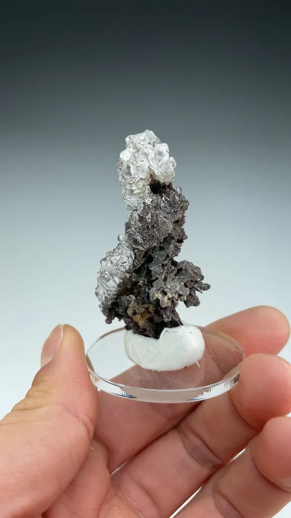 Opal-AN - image 3