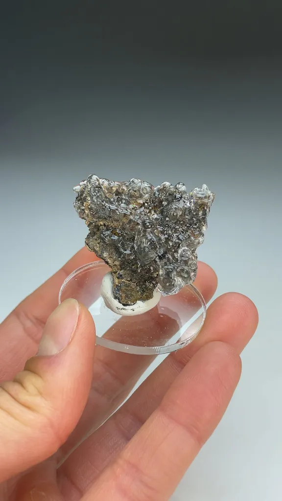 Opal-AN - image 3