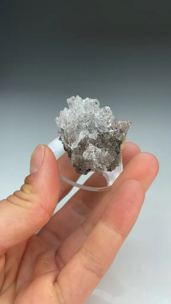 Opal-AN - image 3
