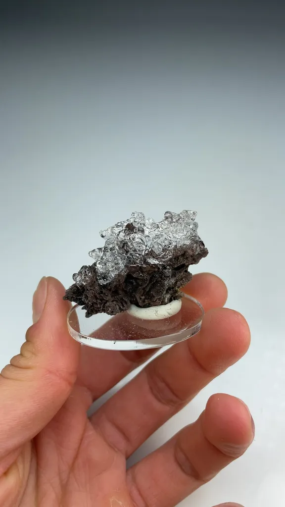 Opal-AN - image 3