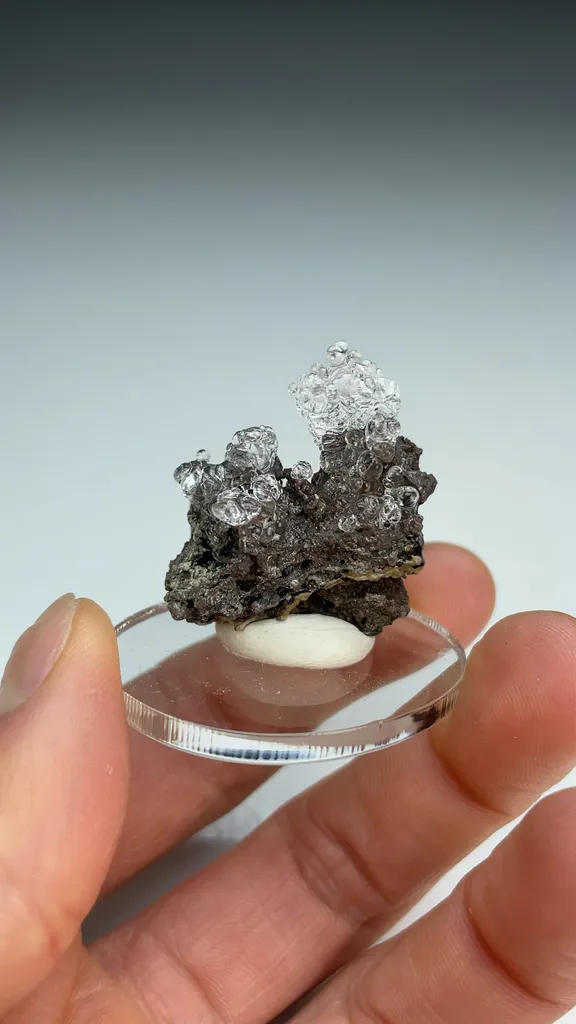 Opal-AN - image 3