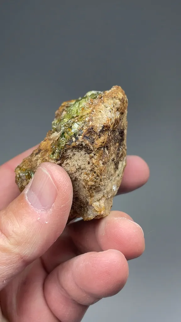 Opal-AN - image 2