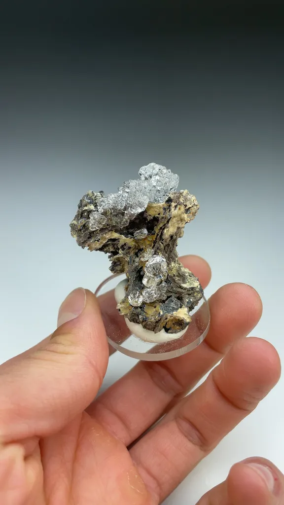 Opal-AN - image 3