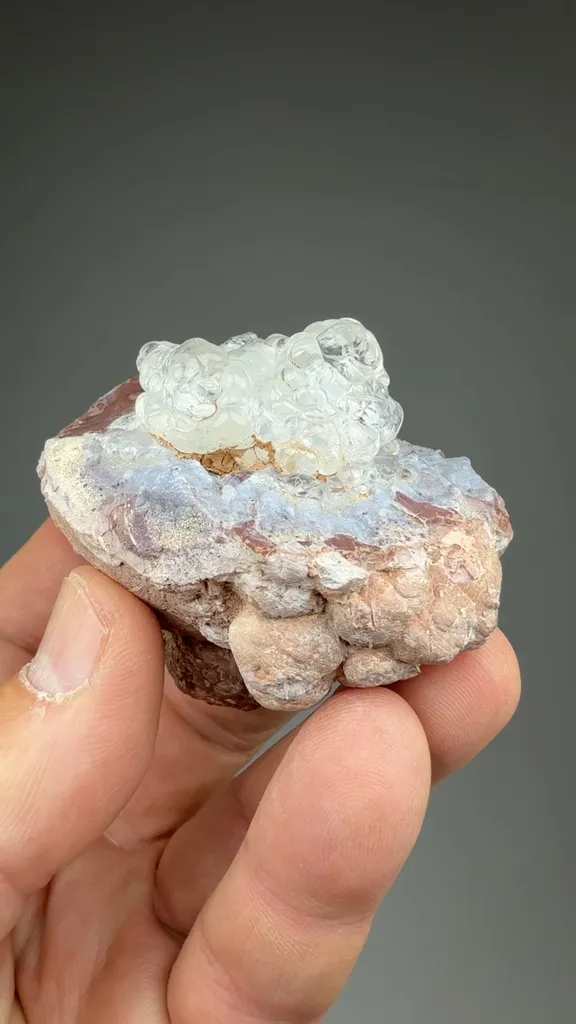 Opal-AN - image 2