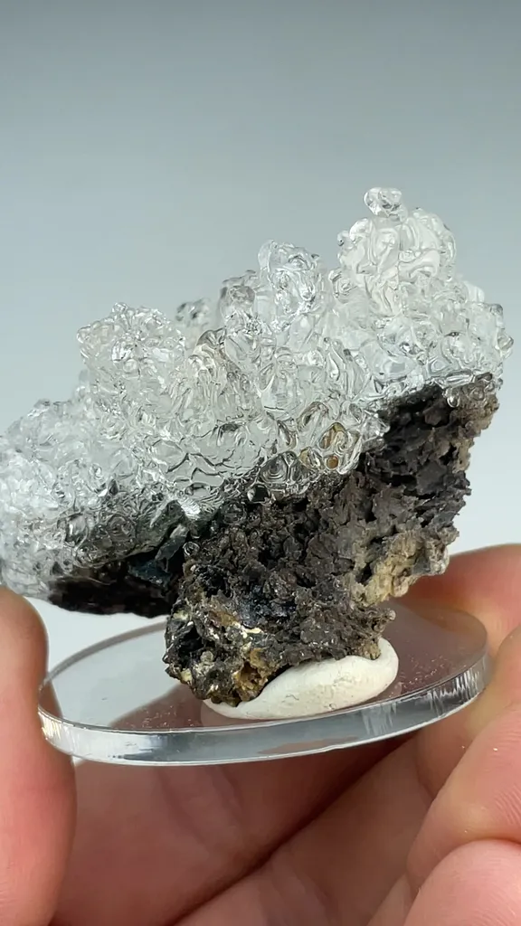 Opal-AN - image 3