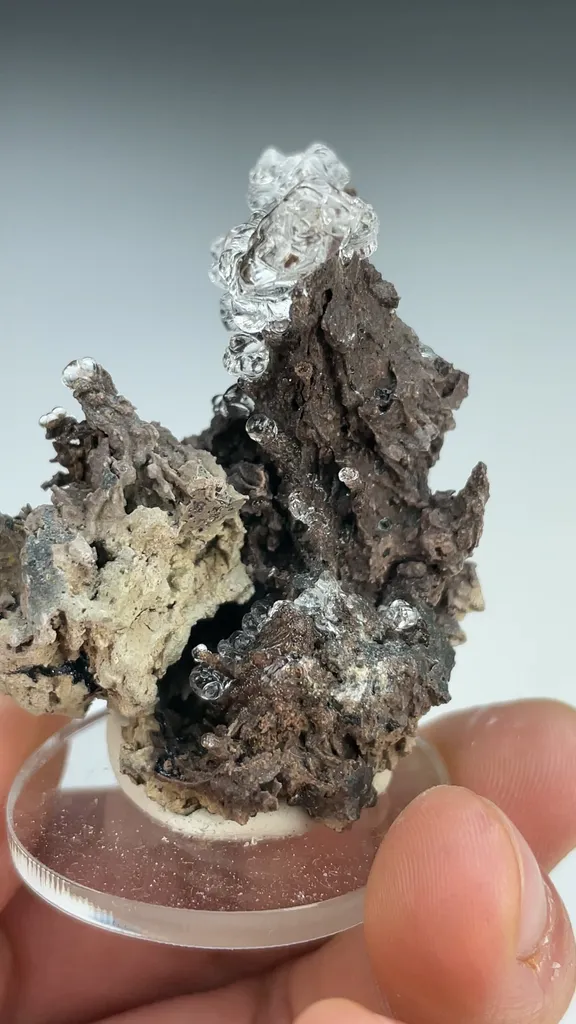 Opal-AN - image 3