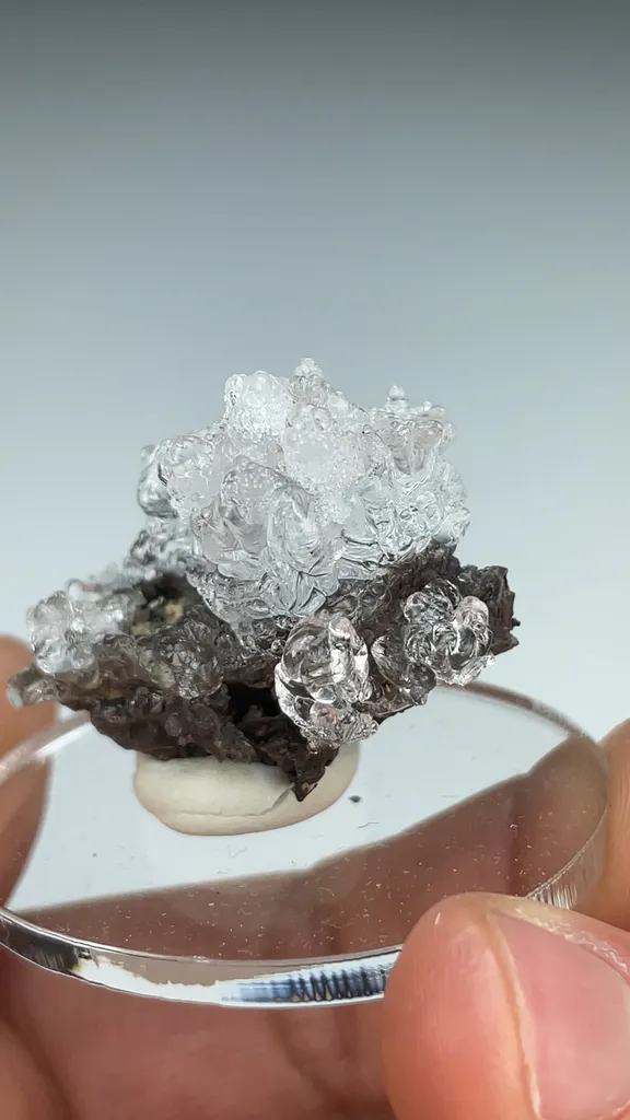 Opal-AN - image 3